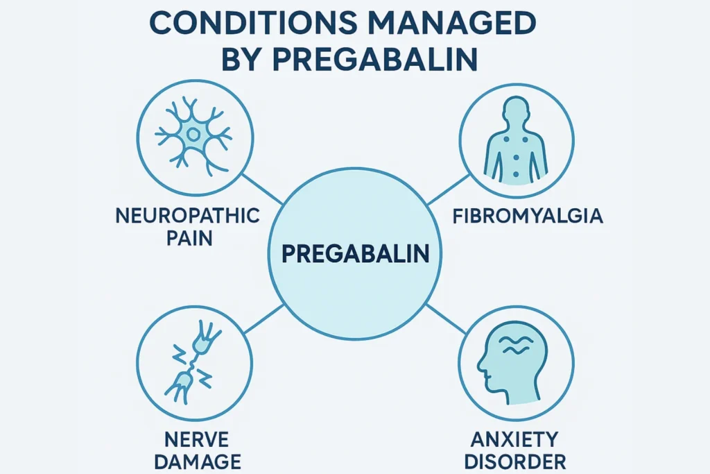 Chart showing conditions treated by pregabalin including neuropathic pain, fibromyalgia, anxiety disorder, and nerve damage