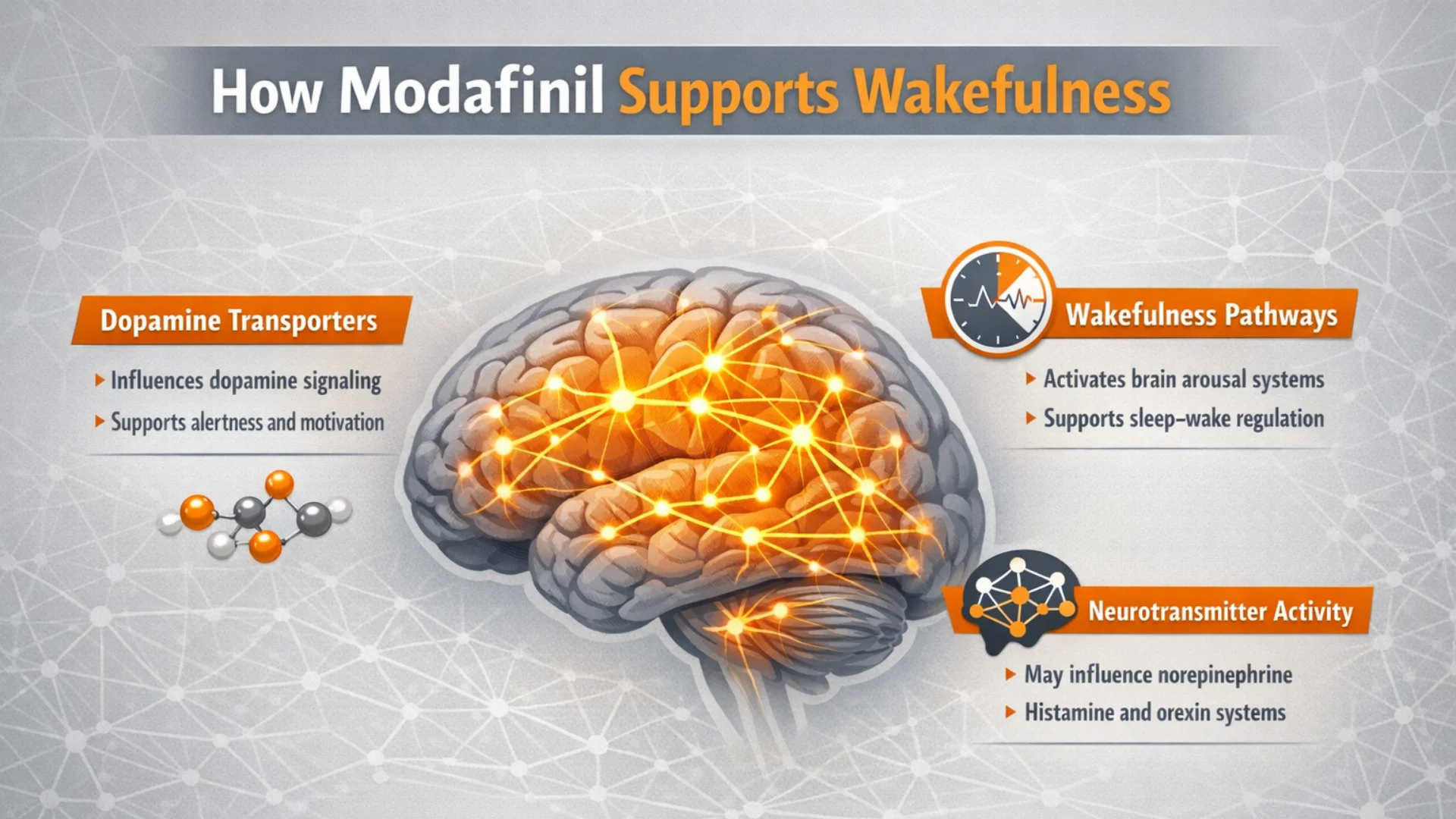Modalert sleep infographic comparing sleep timing vs sleep quality, including delayed bedtime, shorter sleep duration, lighter sleep, and feeling unrested