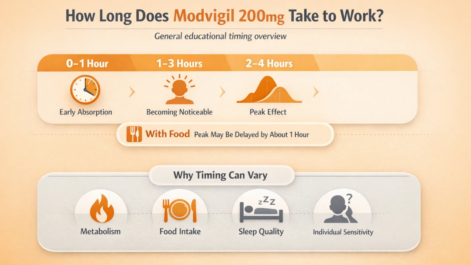 How long does modvigil 200mg take to work infographic showing a mobile-friendly timeline from 0–1 hour early absorption, 1–3 hours becoming more noticeable, 2–4 hours typical peak plasma range, food delaying peak timing by about 1 hour, and factors like metabolism, food intake, sleep quality, and individual sensitivity.