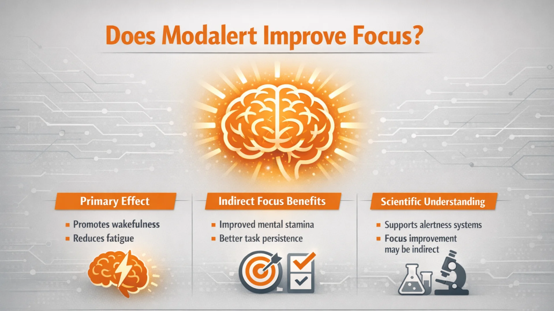 Infographic explaining does modalert improve focus, showing wakefulness benefits, mental stamina, and scientific understanding of Modalert's alertness effects