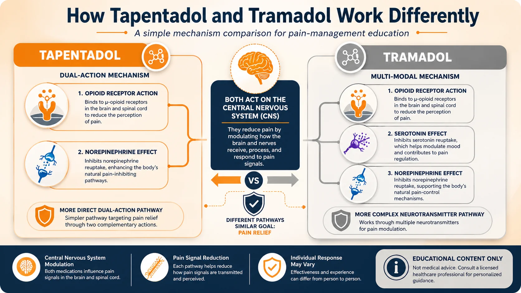 Tapentadol vs Tramadol infographic comparing how both medications act on the central nervous system through opioid receptor, norepinephrine, and serotonin pathways.