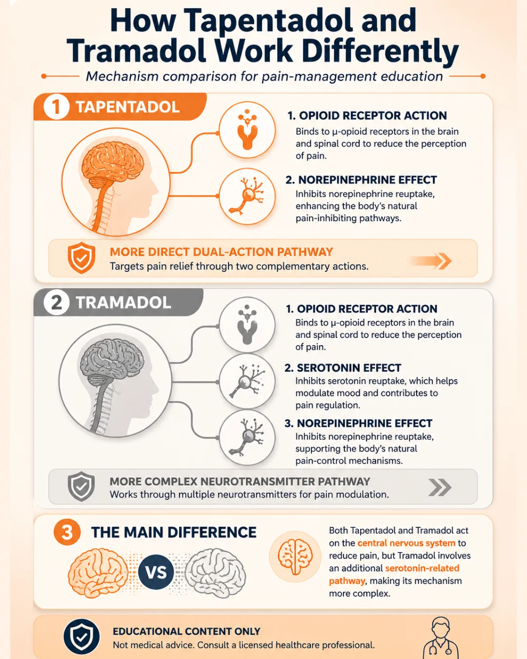 Tapentadol vs Tramadol mobile infographic explaining how both act on the central nervous system, comparing opioid receptor, norepinephrine, and serotonin pathways.