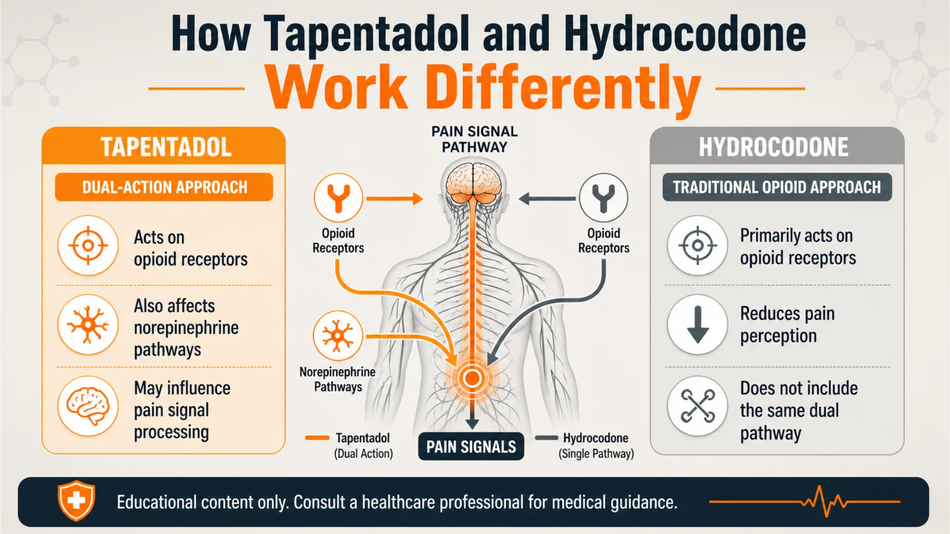Tapentadol vs Hydrocodone infographic showing how tapentadol uses a dual-action approach while hydrocodone primarily acts on opioid receptors.