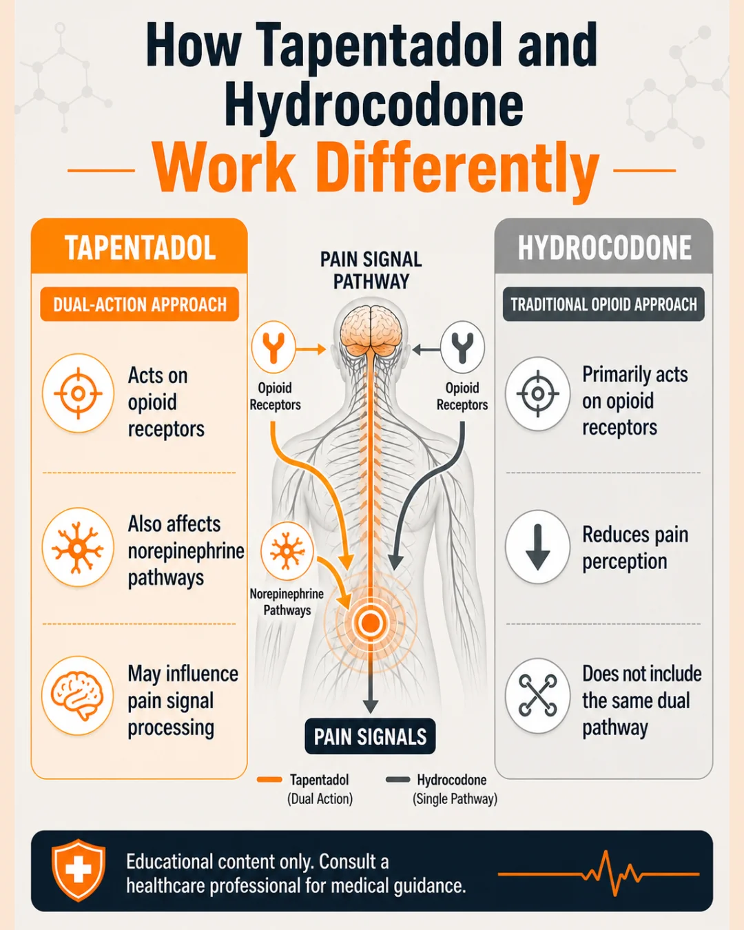 Tapentadol vs Hydrocodone infographic explaining how tapentadol and hydrocodone work differently in pain signal pathways.